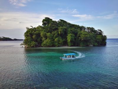A small, green island surrounded by water with a boat passing by