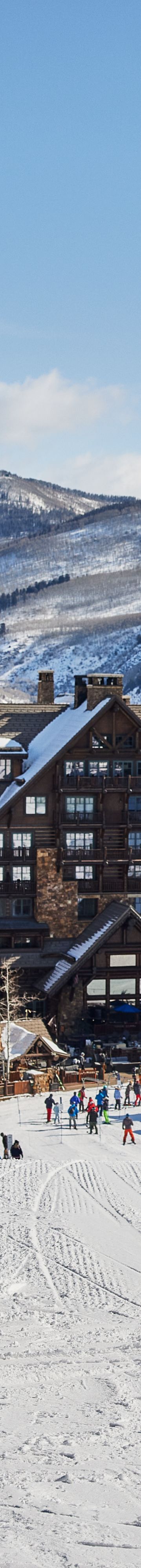 SkiingProperty 35032