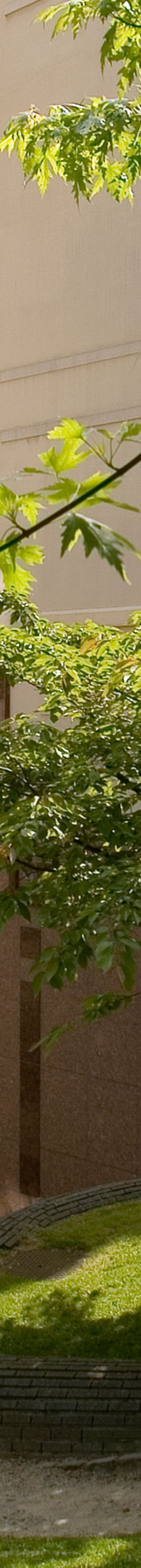 brubr_phototour01