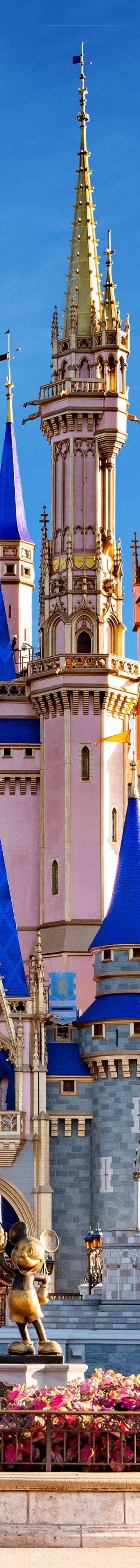 Dreams Come True 42467