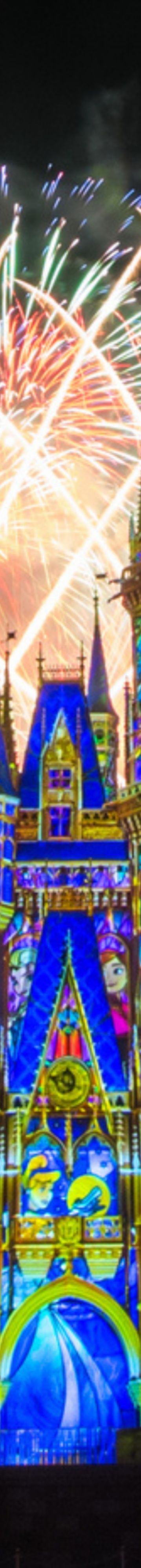 Happily Ever After 29596