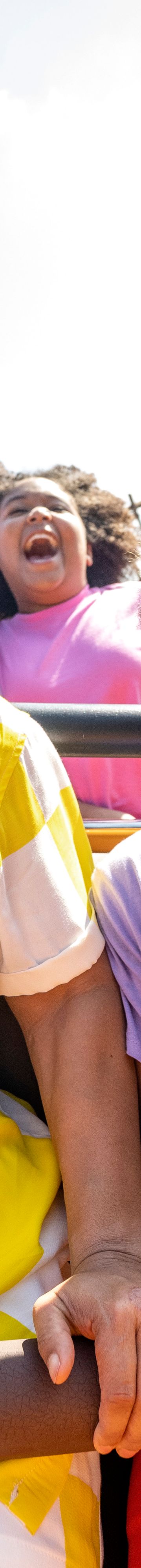 Thunder Mountain  26089