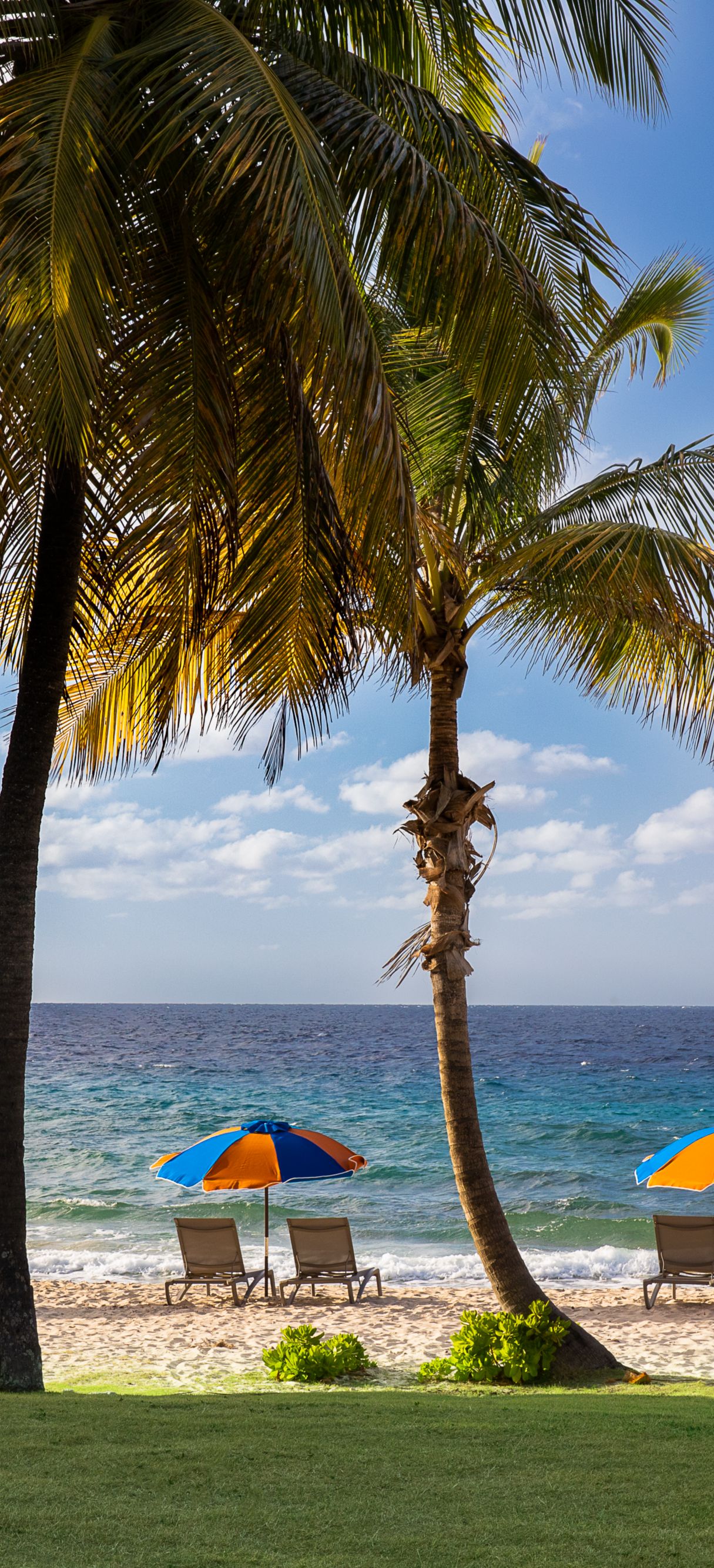 Beach Umbrellas and Chaise Lounges