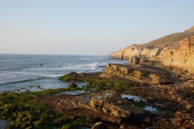Rocky ocean shoreline at low tide