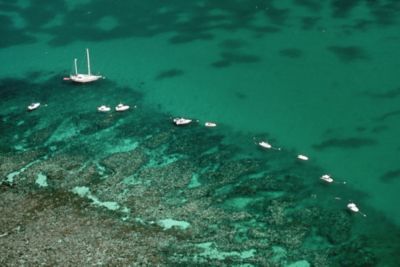 Aerial view of coral reef