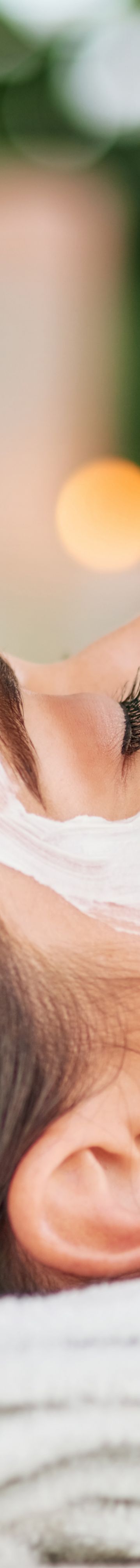 basicwte-select-spa1