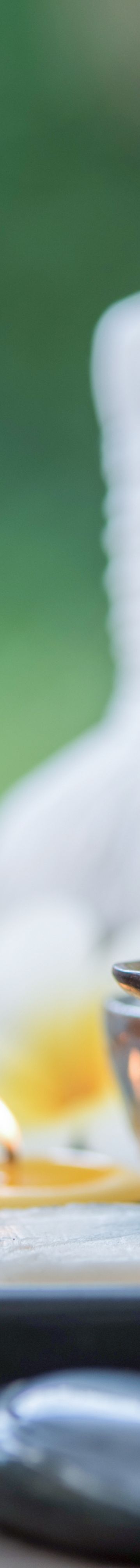 basicwte-select-spa2