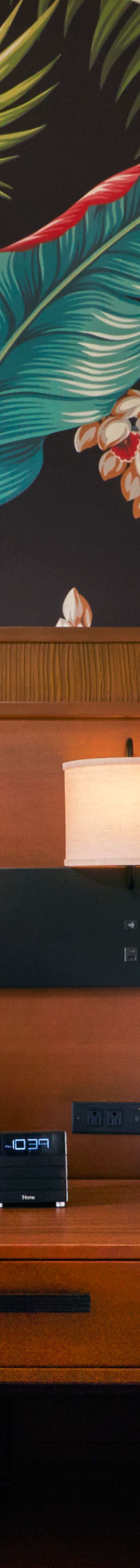 CY_Room_358_QNQN_ 29389