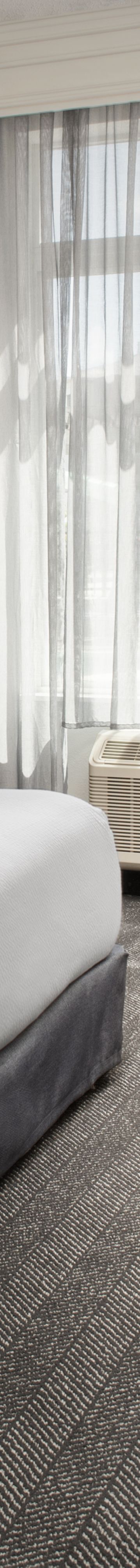 Suite King Bedroom 41699