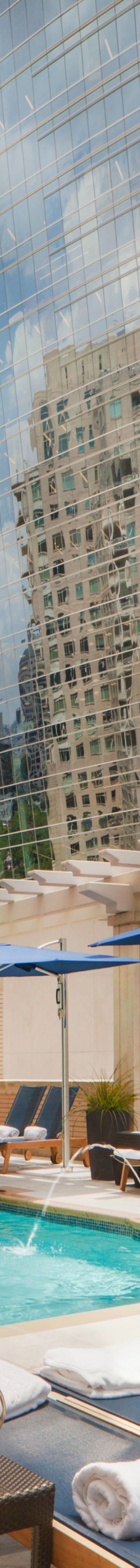 dalrz-rooftop-pool-50679545