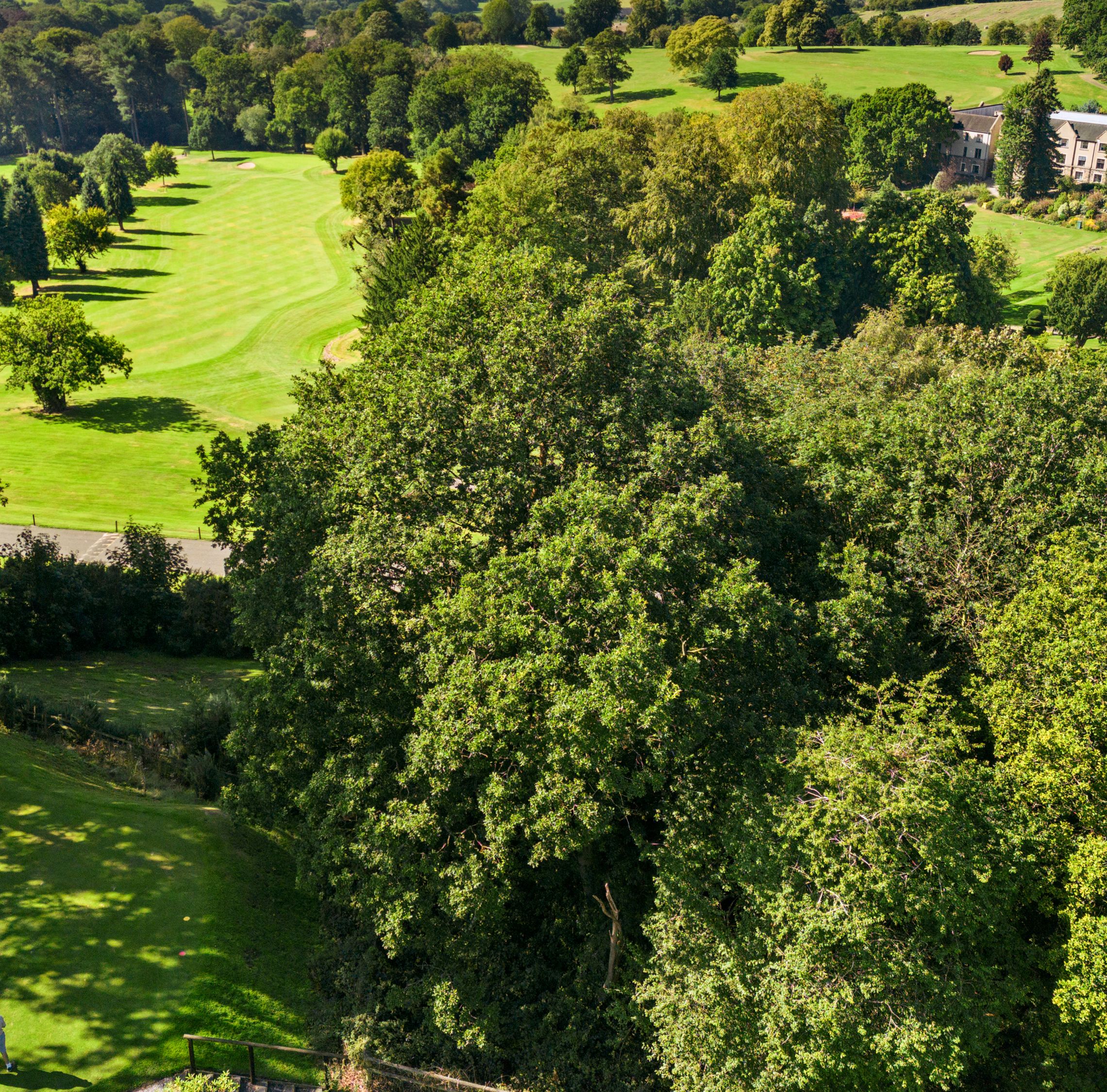 Golf Hotel Derbyshire | Delta Hotels by Marriott Breadsall Priory ...