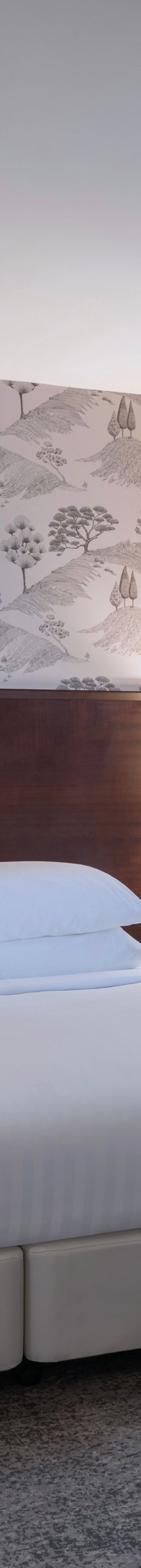  King Superior2 38773