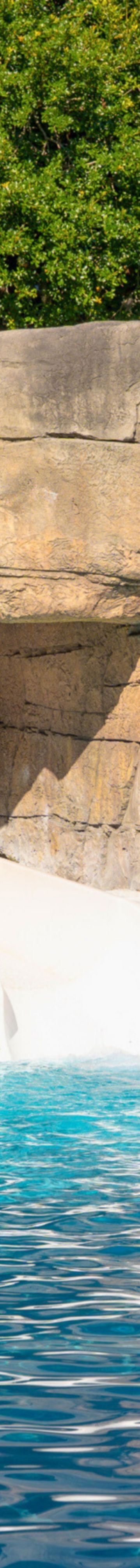 Stone Waterslide Entrance