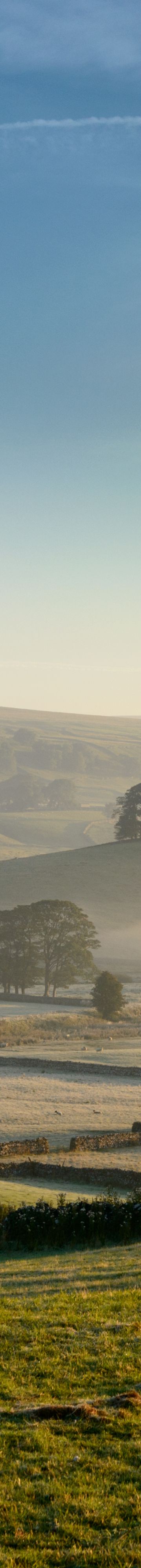 Local Area Newcastle 