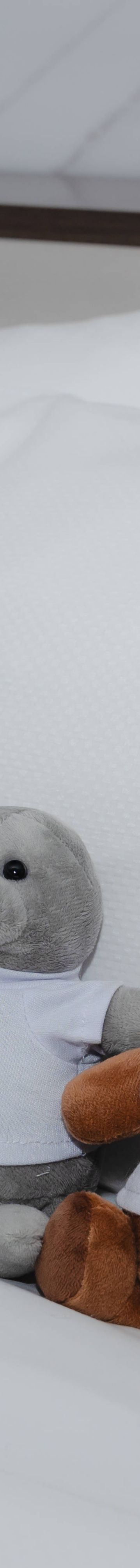 D-Lite BC Animal Stuffies