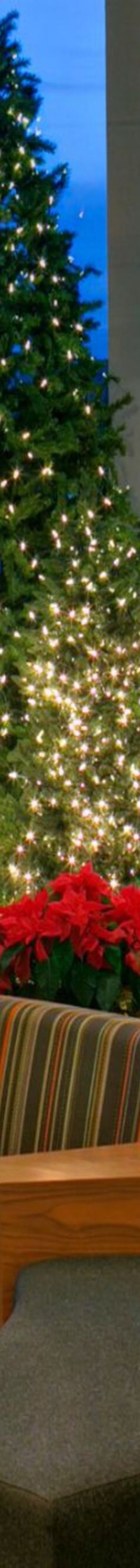 Christmas in the Lob30441