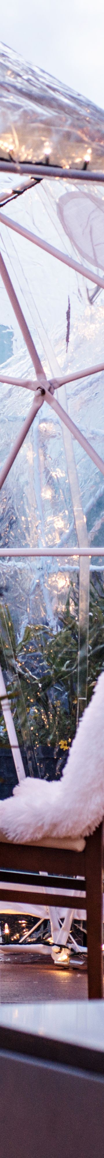 WinterLURE Dining 23486