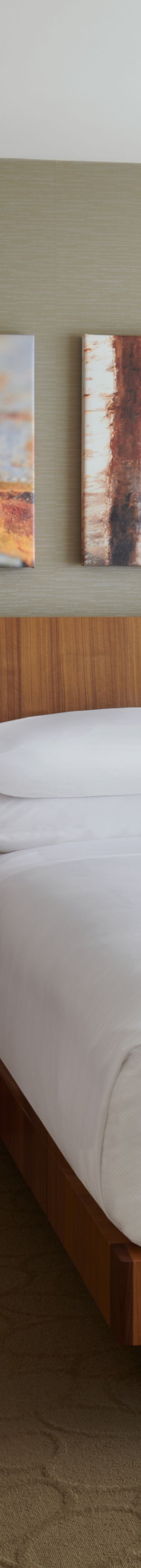 King Guestroom 35922