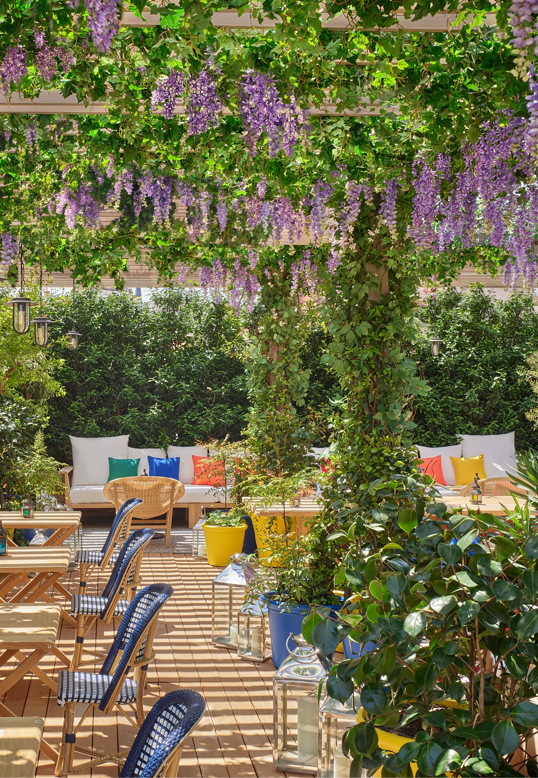 Oroya Terrace 26523