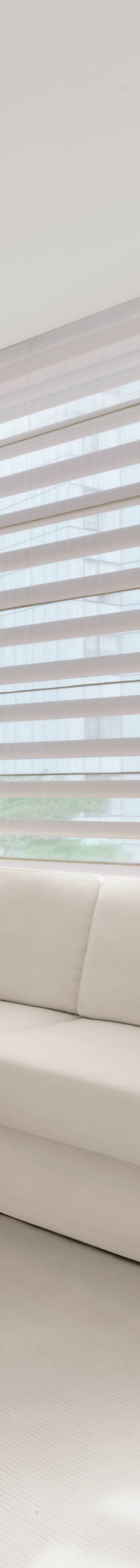 Cuscaden Suite Living Roo