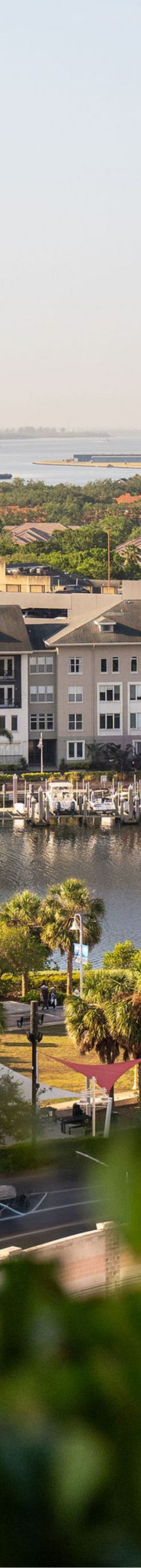 downtown-tampa-37585