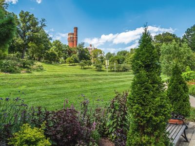 Park view with tower in background