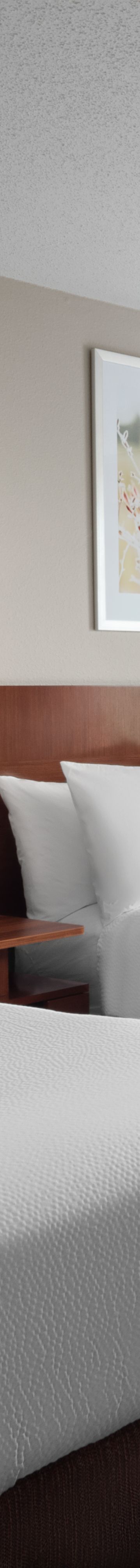 Queen Queen Guestroom