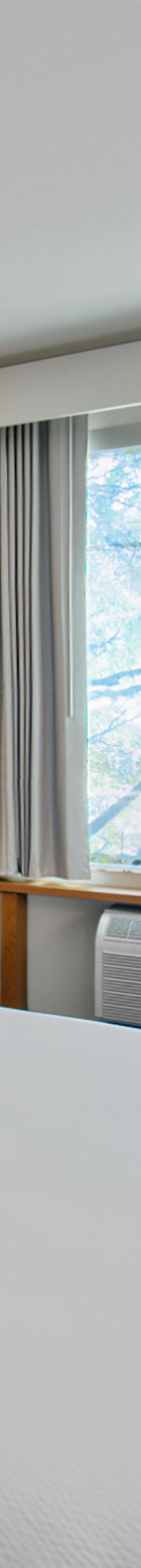 1 King Guest Room 11028