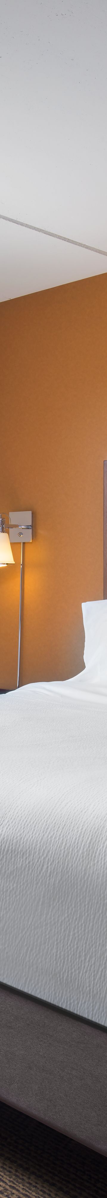 One Bedroom Suite 76338