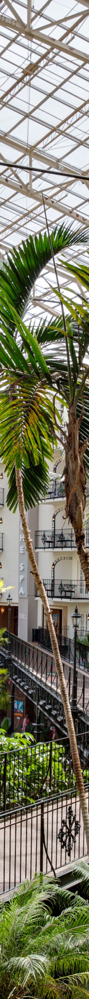 ERS Room View - 806553