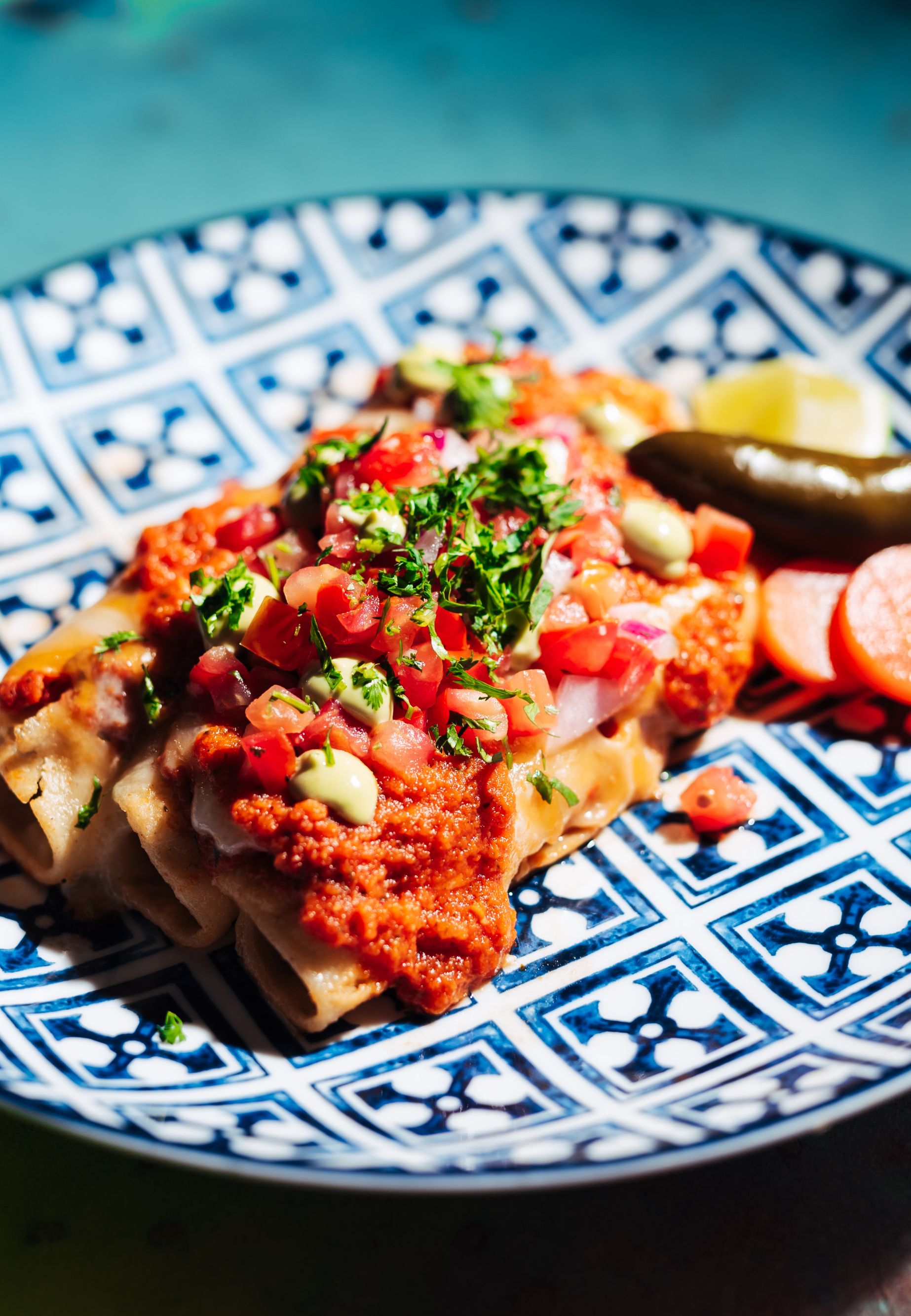 chicken-enchilada-11882