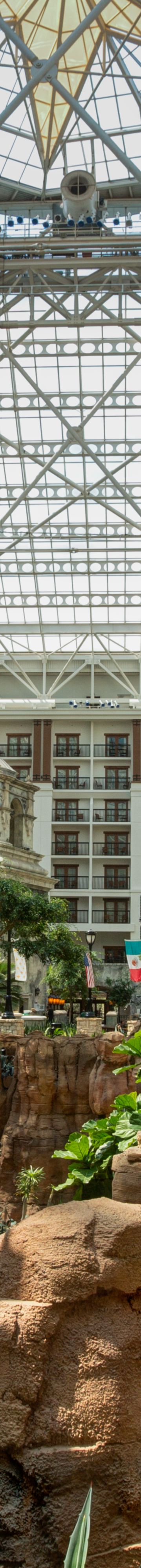 Lone Star Atrium39509