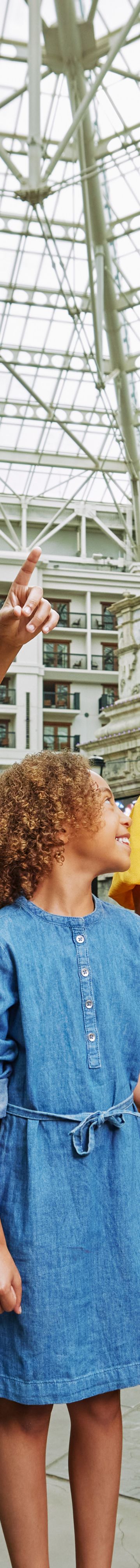 Family Atrium  23876