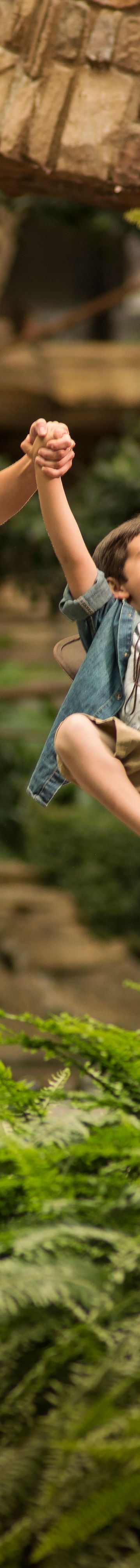 Lone Star Atrium827523