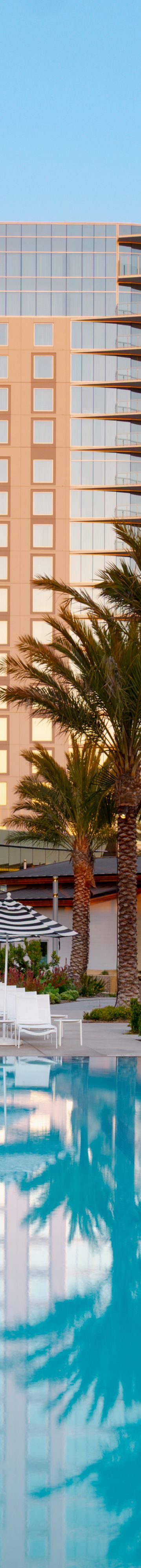 SANGE_Sunnys Pool-01