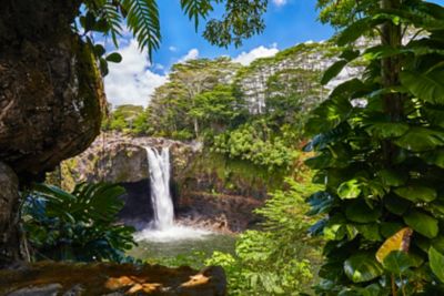 At Rainbow Falls, the Wailuku River rushes into a large pool below