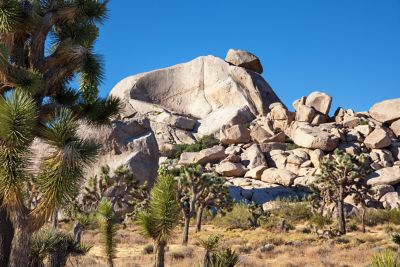 Large rock in a desert