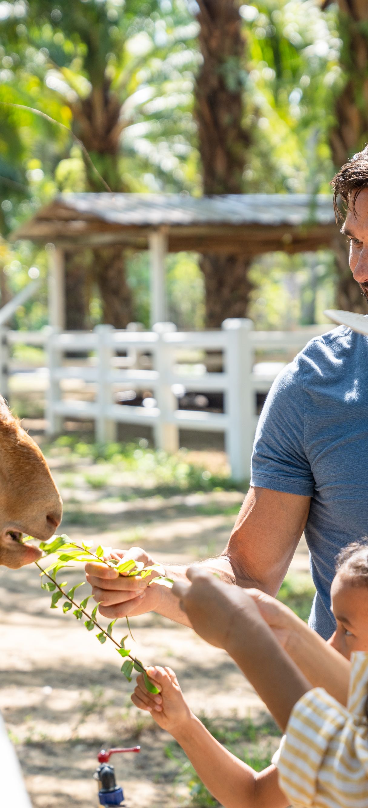 Feeding farm animals