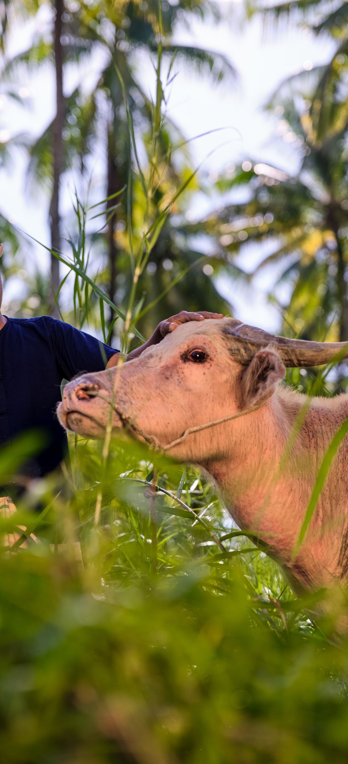 Resident farmer