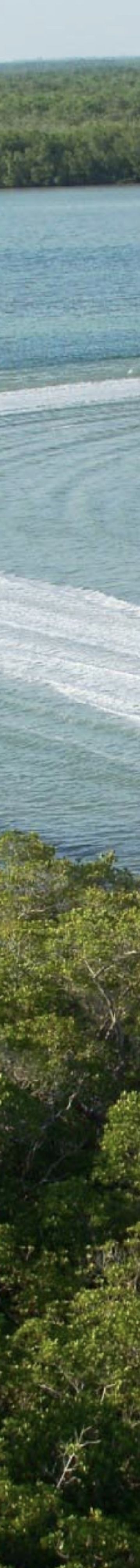 Resize Images for 11163