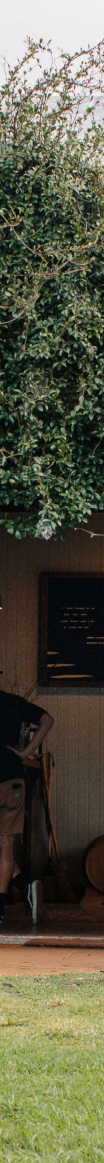 Witches Falls Winery