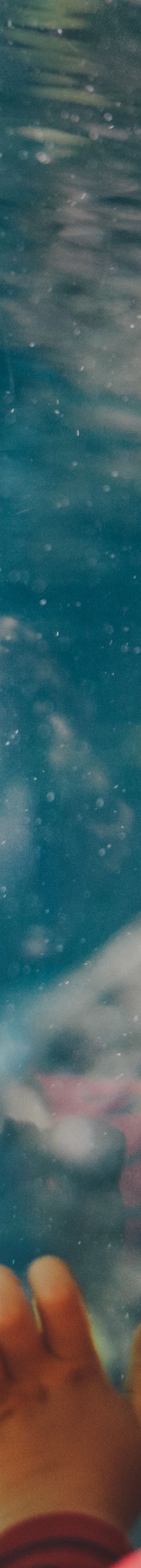 child-at-aquarium-17483