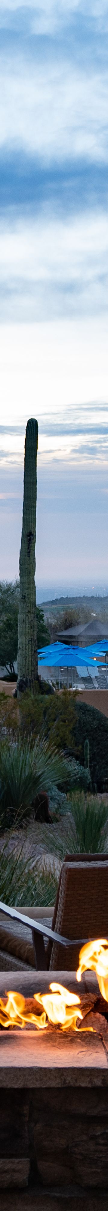 jw-salud-patio-29833