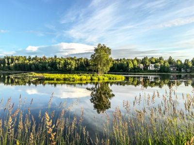 Sunny park view with lake