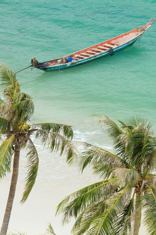 Aerial view of palm trees on the beach, with a small boat in the background.