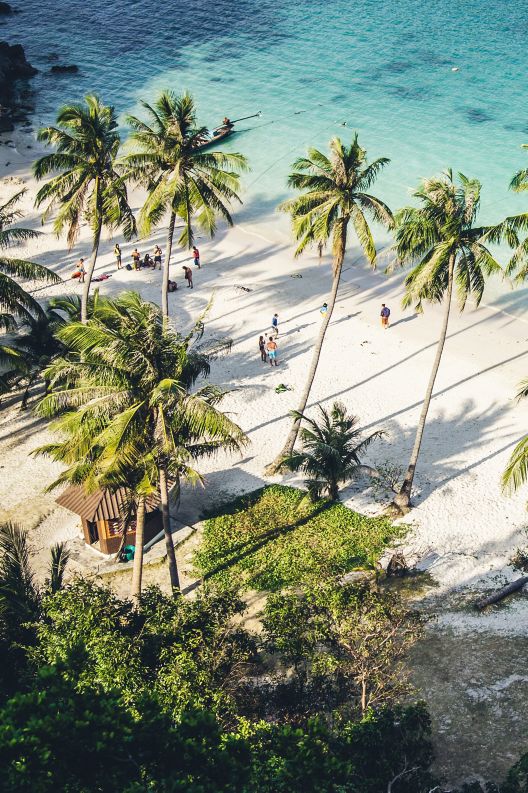 Aerial view of the beach with people boarding a boat beneath palm trees.
