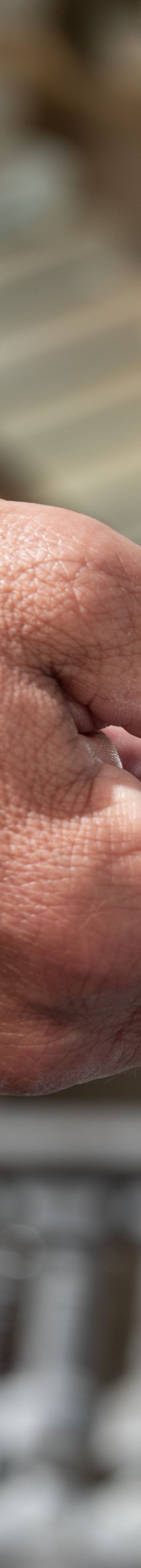 Arrival Detail 11681