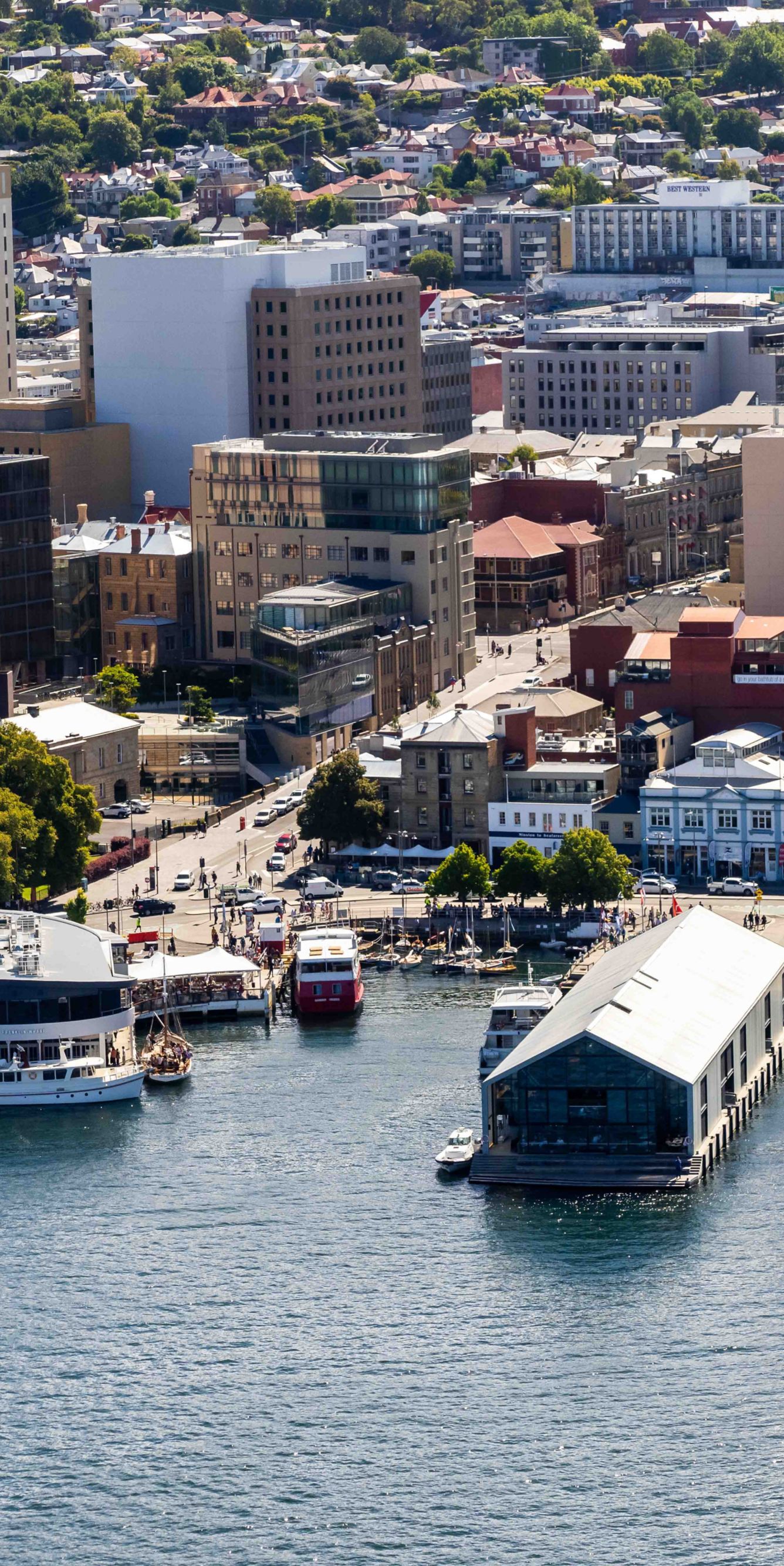 View towards The Tasman from Derwent River
