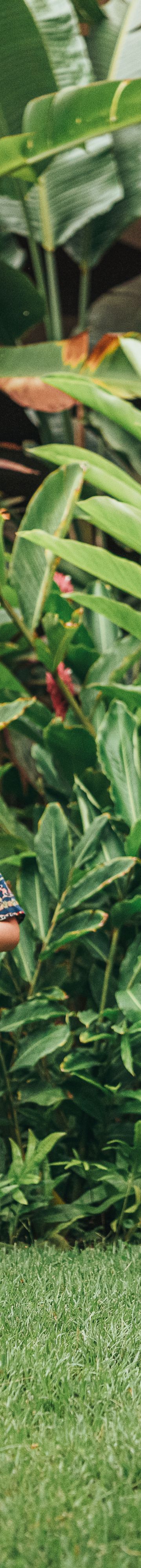 Event Lifestyle 16142