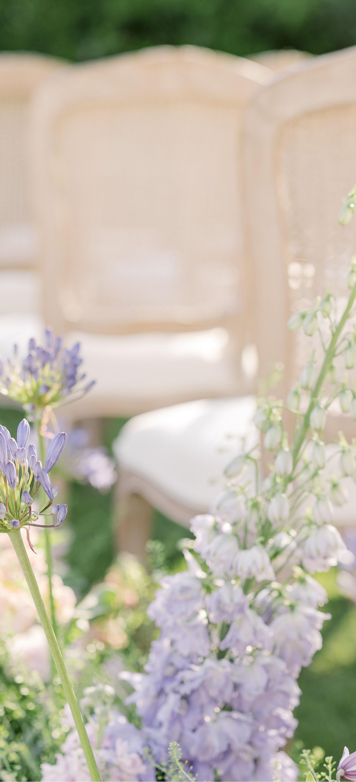 Outdoor wedding ceremony chairs and flowers